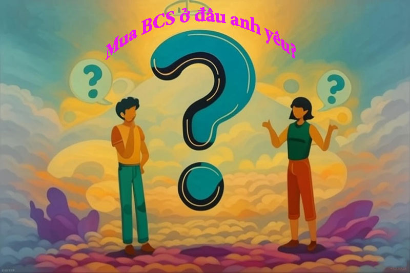 Mua bcs ở đâu chính hãng